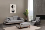 Premium Koltuk Takımı - Image 4